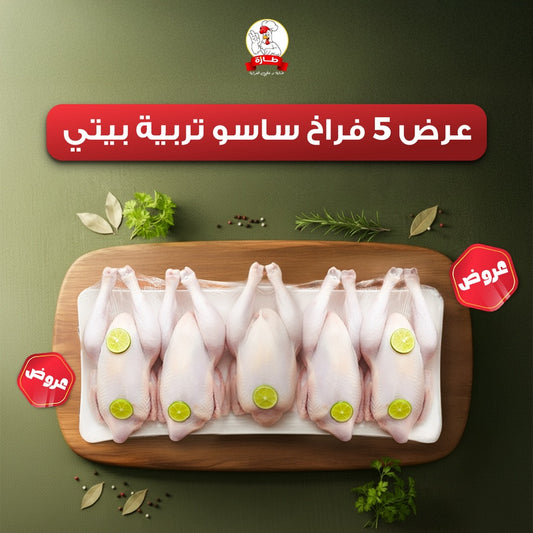 عرض 5 فراخ ساسو تربية بيتي