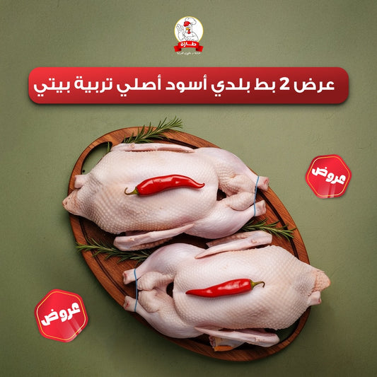 عرض 2 بط بلدي أسود أصلي تربية بيتي