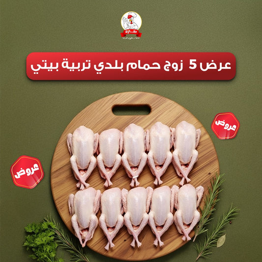 عرض 5 زوج حمام بلدي تربية بيتي