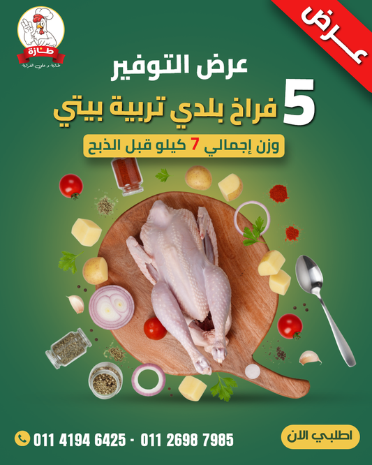 عرض 5 فراخ بلدي تربية بيتي (عرض التوفير)