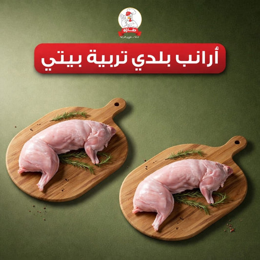 عرض 2 أرانب بلدي تربية بيتي