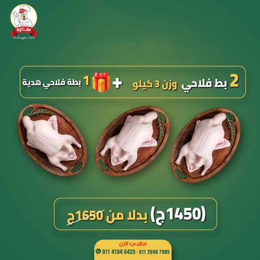 البوكس الأول من طازة
