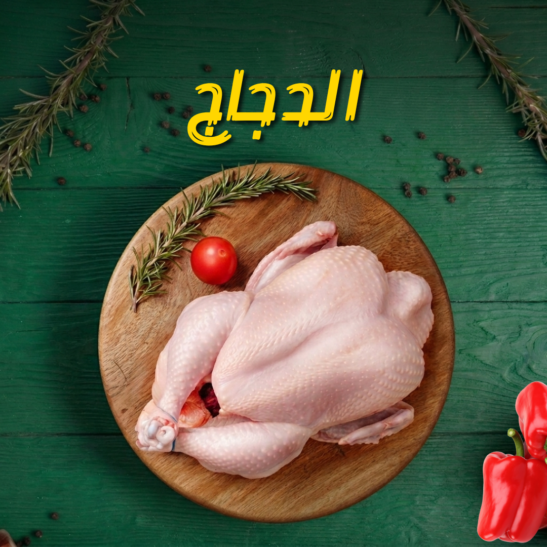 الدجاج
