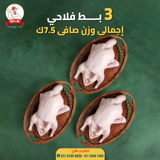 عرض 3 بط فلاحي تربية بيتي (عزومة البط)