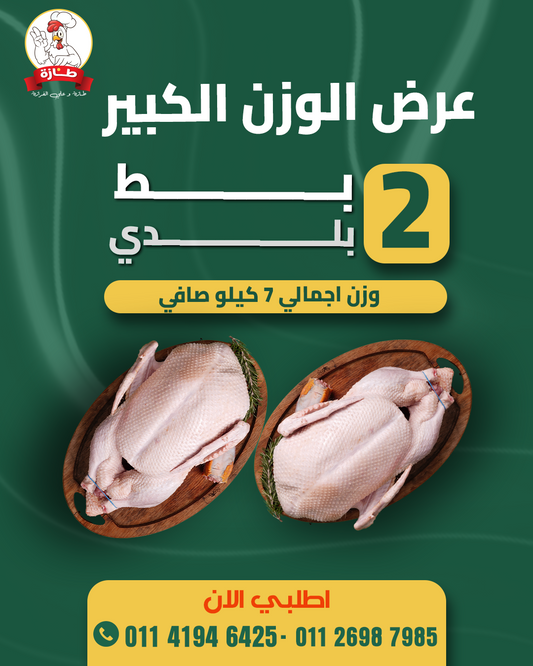 عرض 2 بط بلدي أسود أصلي تربية بيتي (عرض الوزن الكبير)