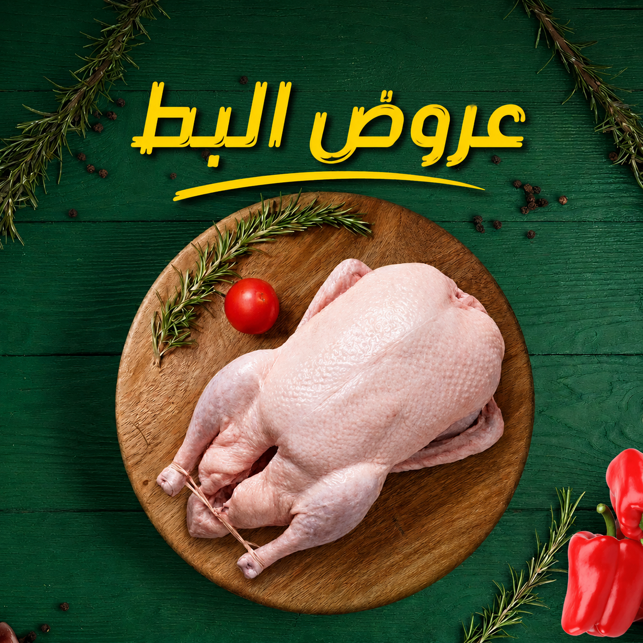 عروض البط