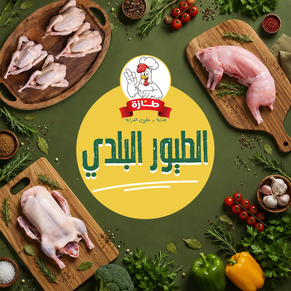 الطيور البلدي