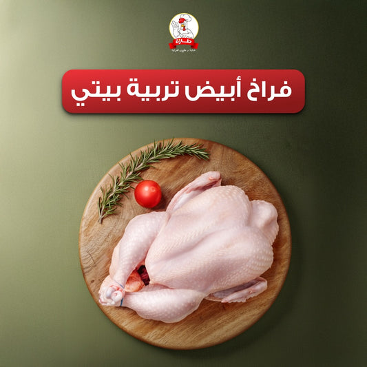 فراخ أبيض تربية بيتي