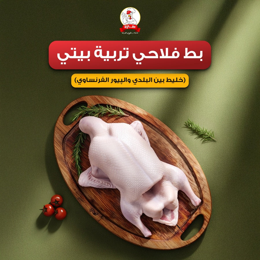 بط فلاحي تربية بيتي (خليط بين البلدي والپيور الفرنساوي)