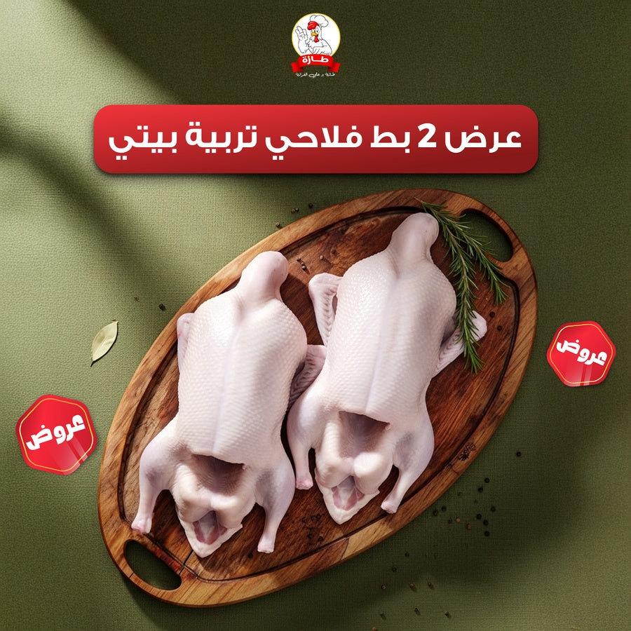 عرض 2 بط فلاحي تربية بيتي