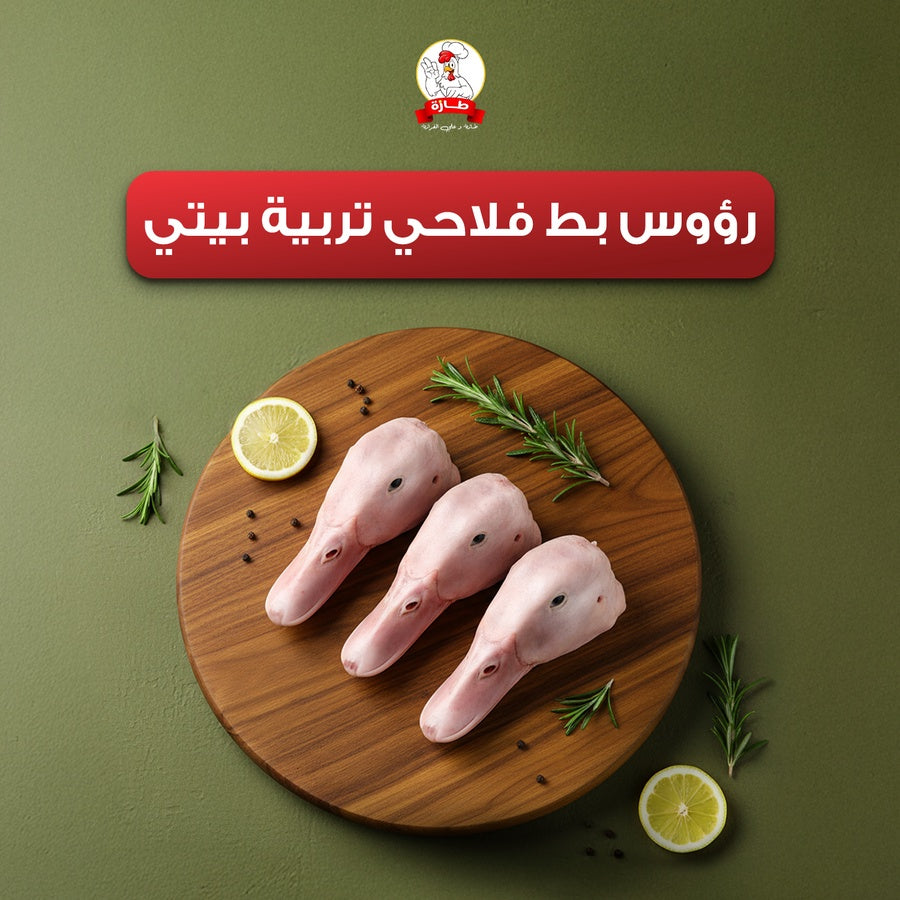 رؤوس بط فلاحي تربية بيتي
