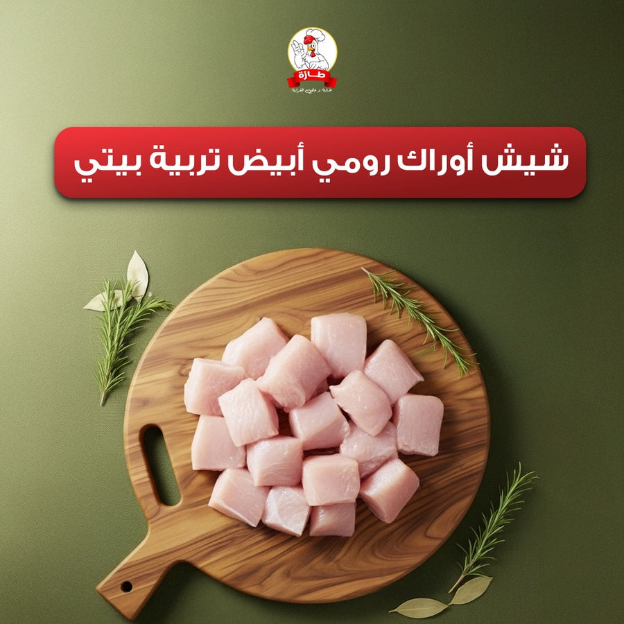 شيش أوراك رومي أبيض تربية بيتي