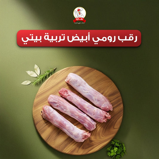 رقب رومي أبيض تربية بيتي