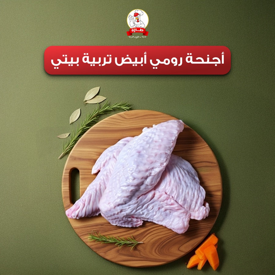 أجنحة رومي أبيض تربية بيتي