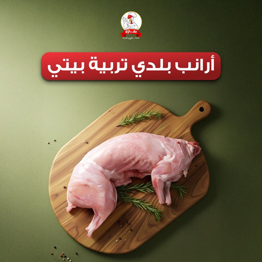 أرانب بلدي تربية بيتي