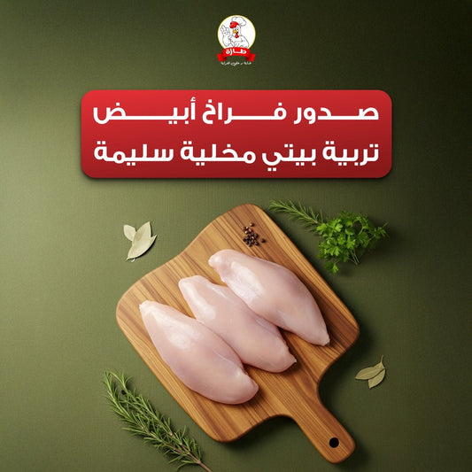 صدور فراخ أبيض تربية بيتي مخلية سليمة