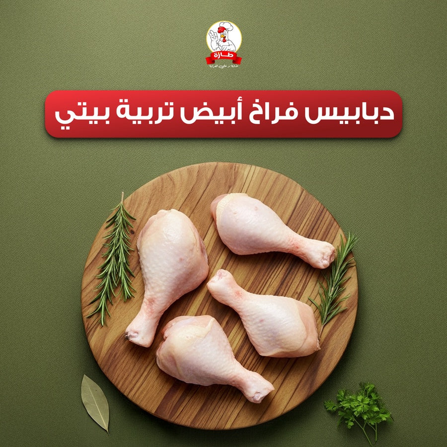 دبابيس فراخ أبيض تربية بيتي
