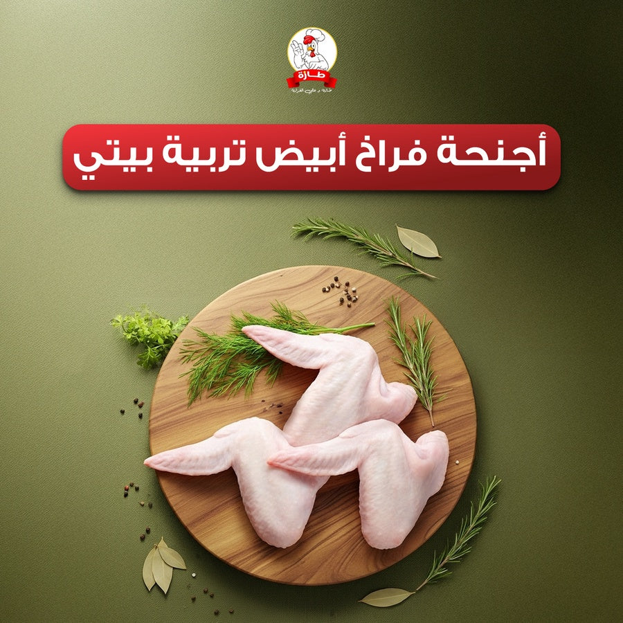 أجنحة فراخ أبيض تربية بيتي