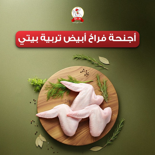 أجنحة فراخ أبيض تربية بيتي