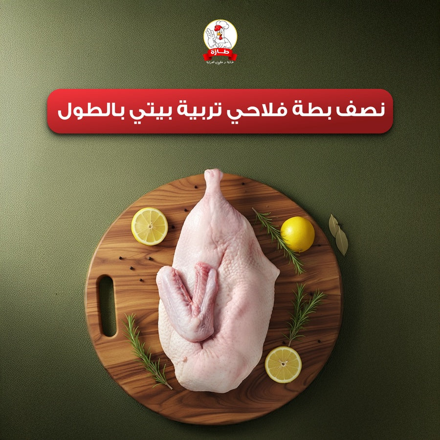 نصف بطة فلاحي تربية بيتي بالطول
