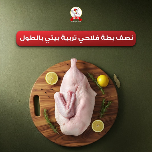 نصف بطة فلاحي تربية بيتي بالطول