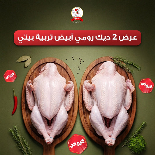 عرض 2 ديك رومي أبيض تربية بيتي