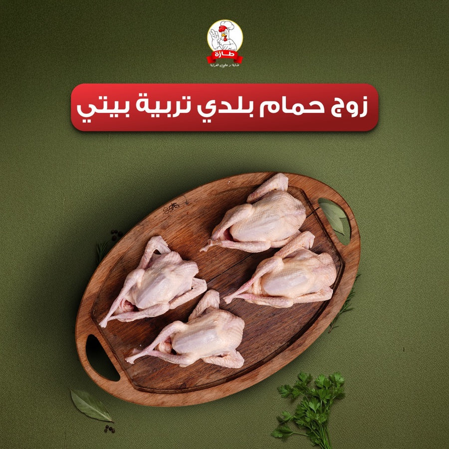 زوج حمام بلدي تربية بيتي
