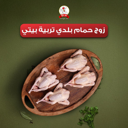 زوج حمام بلدي تربية بيتي