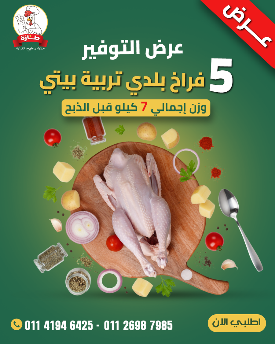 عرض 5 فراخ بلدي تربية بيتي (عرض التوفير)