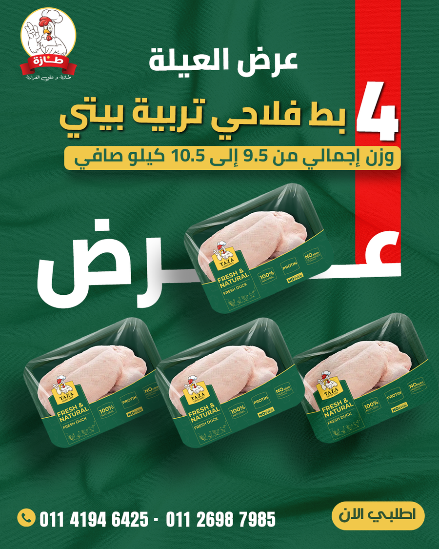 عرض 4 بط فلاحي تربية بيتي (عرض العيلة)