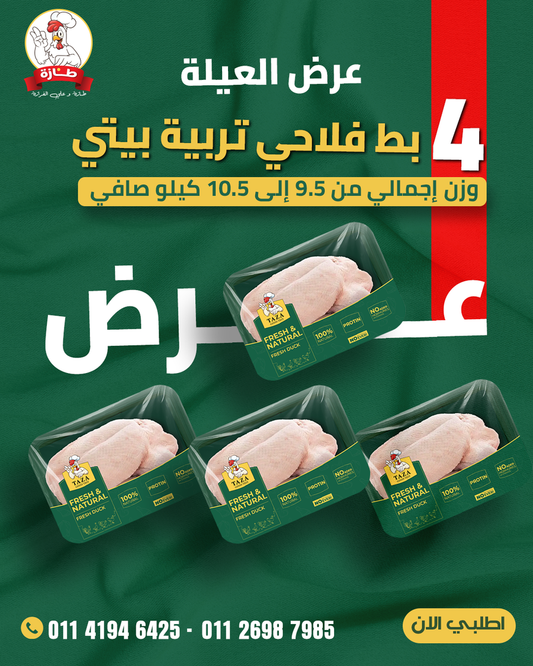 عرض 4 بط فلاحي تربية بيتي (عرض العيلة)