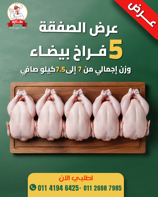 عرض 5 فراخ أبيض تربية بيتي (عرض الصفقة)