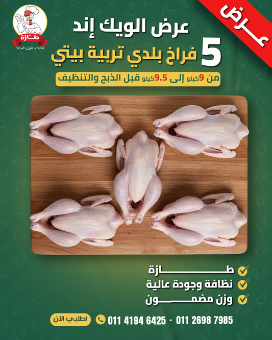 عرض 5 فراخ بلدي تربية بيتي (عرض الويك إند)
