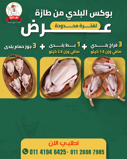 بوكس البلدي من طازة