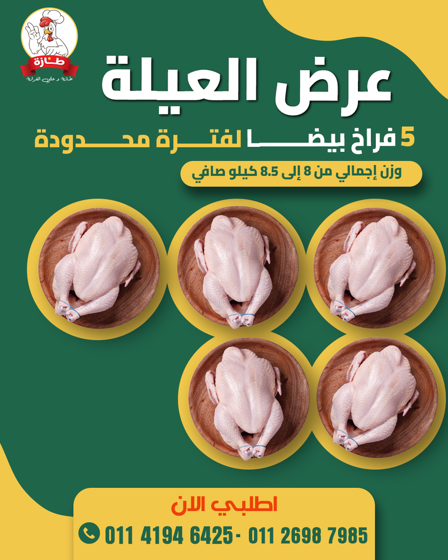 عرض 5 فراخ أبيض تربية بيتي (عرض العيلة)
