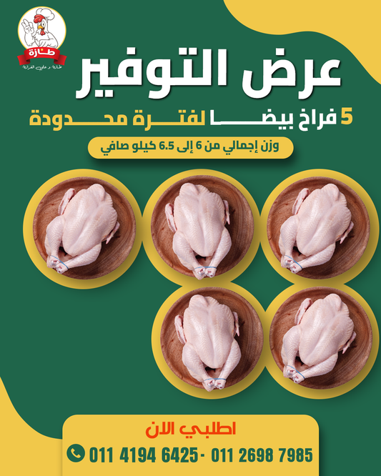 عرض 5 فراخ أبيض تربية بيتي (عرض التوفير)