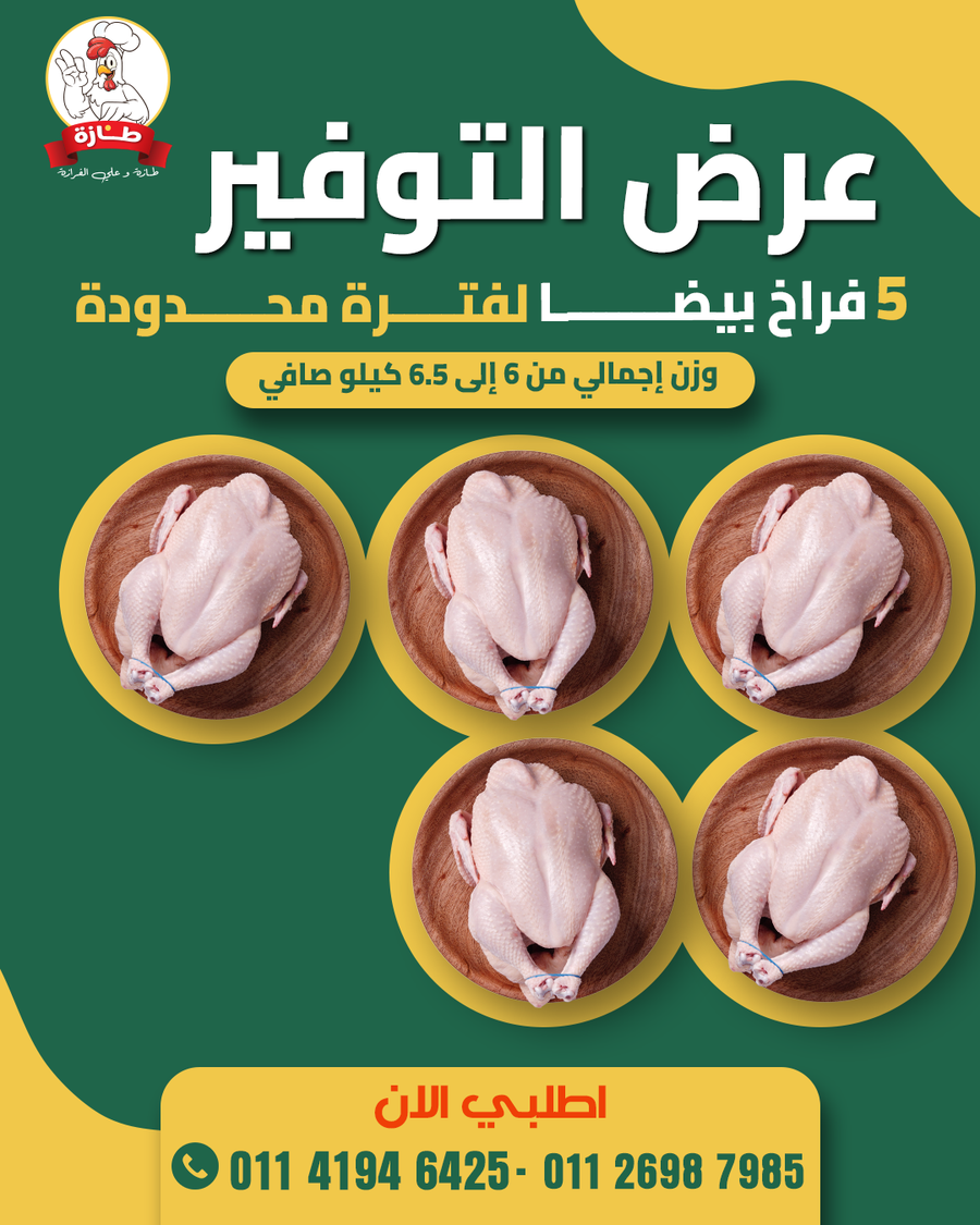 عرض 5 فراخ أبيض تربية بيتي (عرض التوفير)