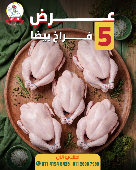 عرض 5 فراخ أبيض تربية بيتي