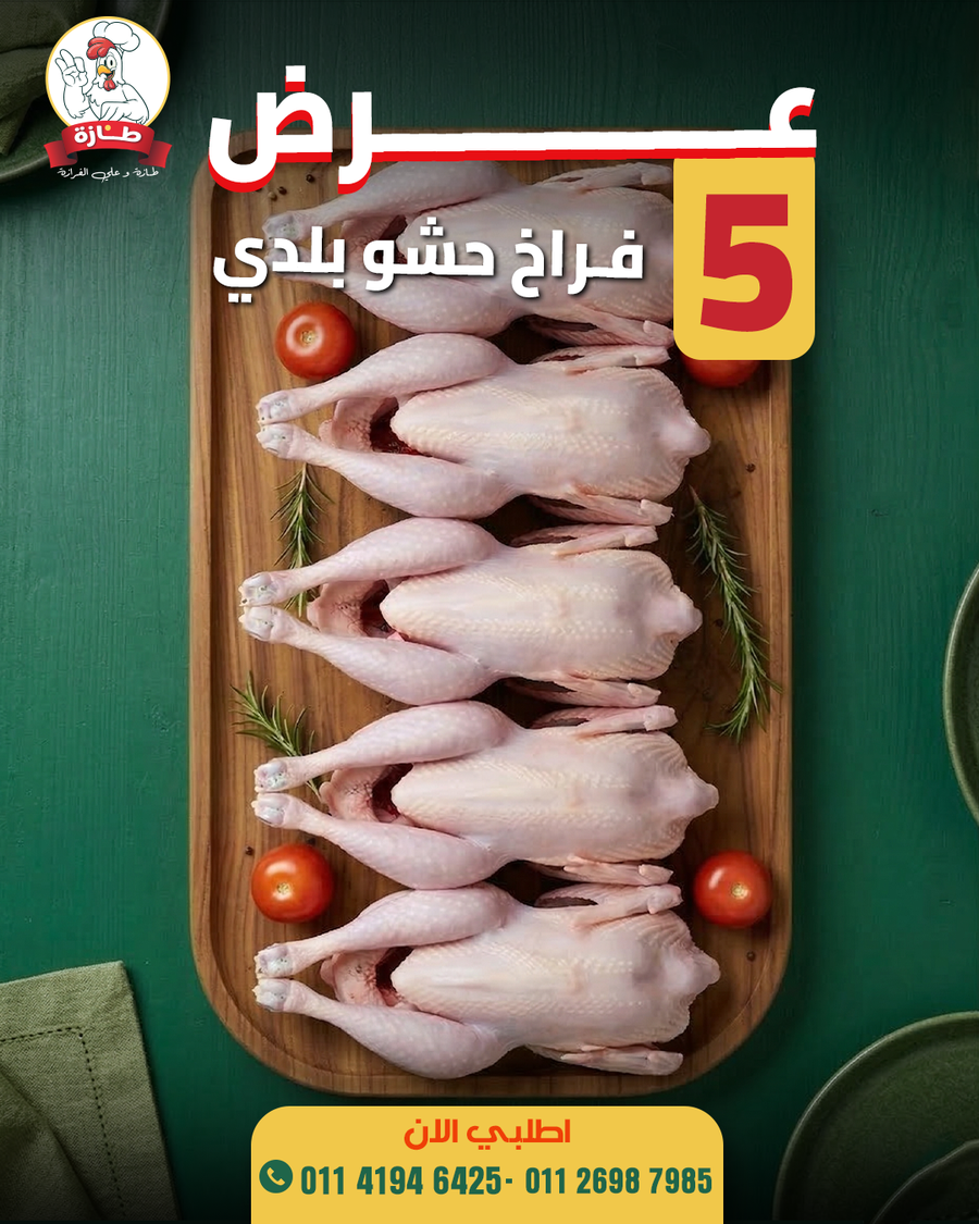 عرض 5 فراخ بلدي حشو تربية بيتي