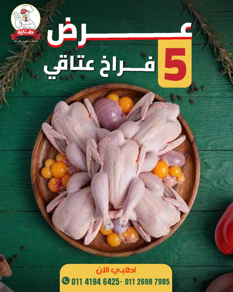 عرض 5 فراخ عتاقي بلدي تربية بيتي
