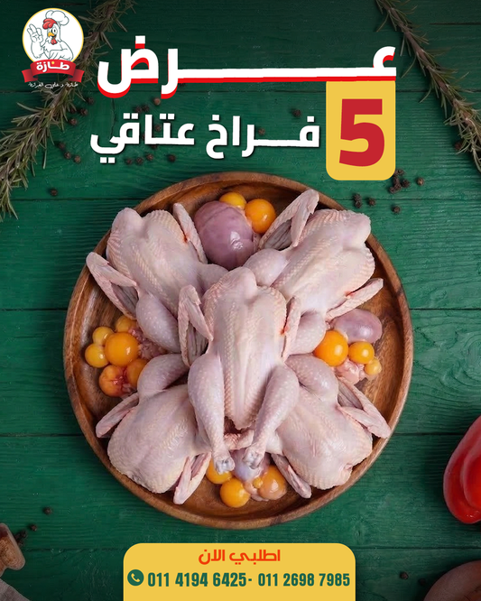 عرض 5 فراخ عتاقي بلدي تربية بيتي