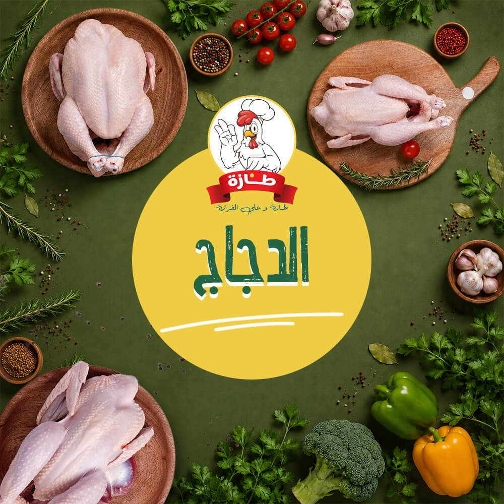 الدجاج