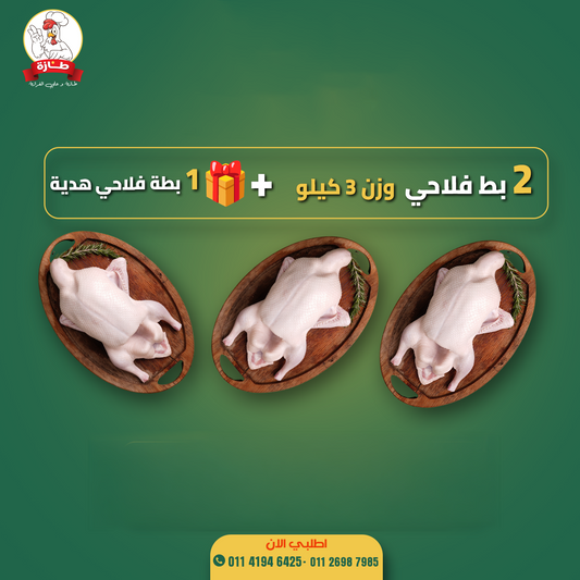 البوكس الأول من طازة