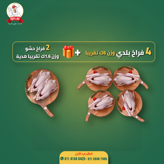 البوكس الثاني من طازة