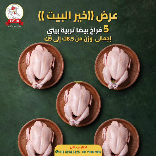 عرض 5 فراخ أبيض تربية بيتي (عرض خير البيت)